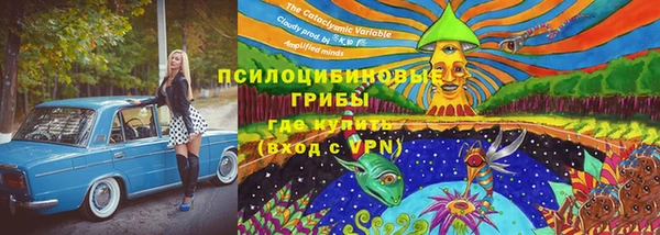 твердый Корсаков